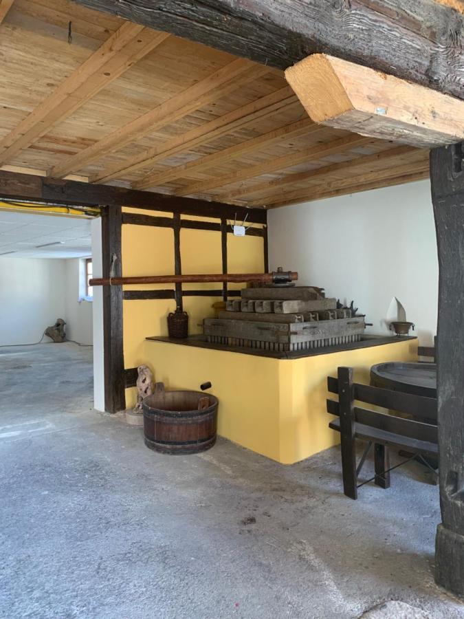 Le Loft Holiday home Wintzenheim